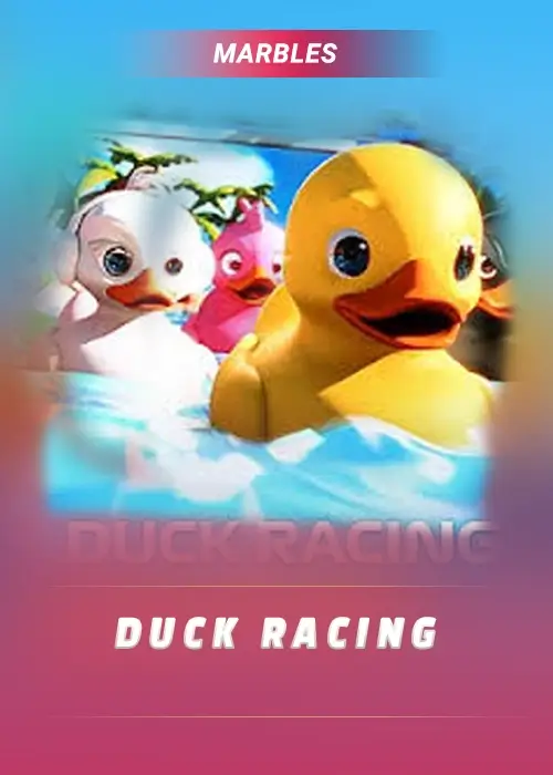 New Launch 4